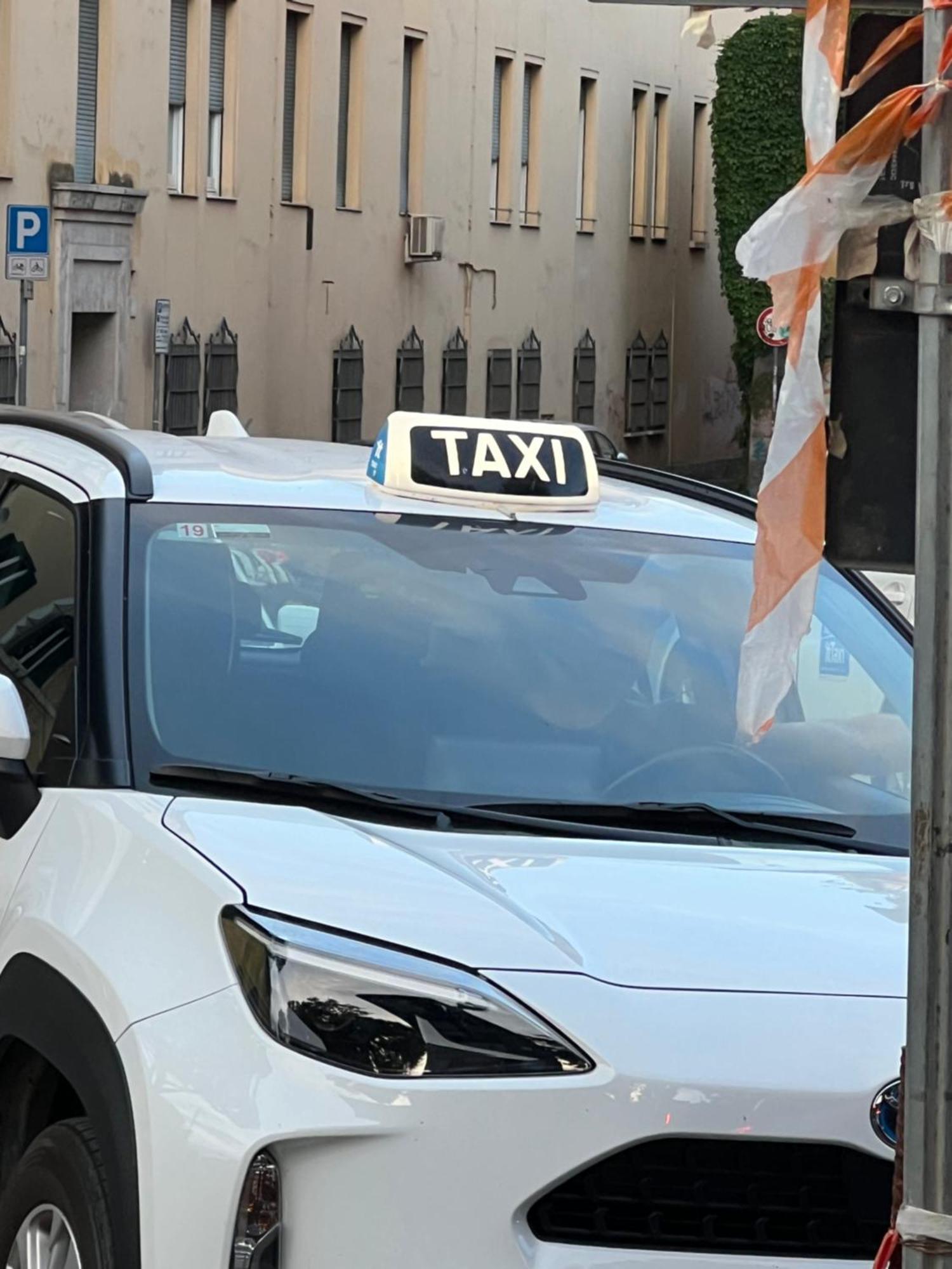 Sunny Side Trastevere Roma Dış mekan fotoğraf
